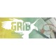 GRUPO RECREATIVO INDEPENDENTE BRANDOENSE