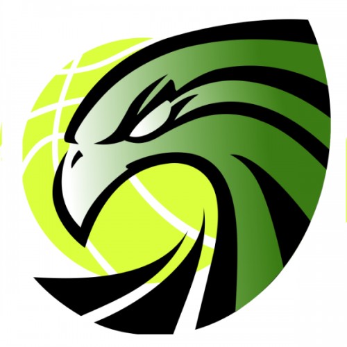 GRUPO RECREATIVO INDEPENDENTE BRANDOENSE