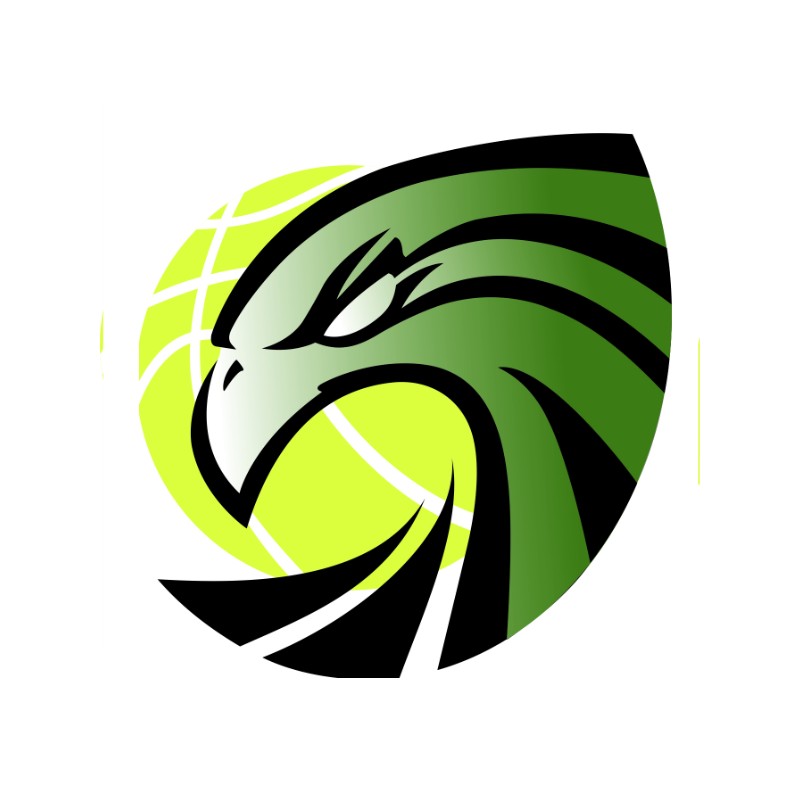 GRUPO RECREATIVO INDEPENDENTE BRANDOENSE